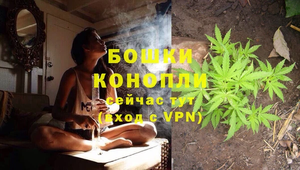 бошки Алзамай