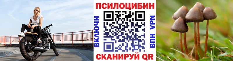 Псилоцибиновые грибы мицелий  Карачаевск 