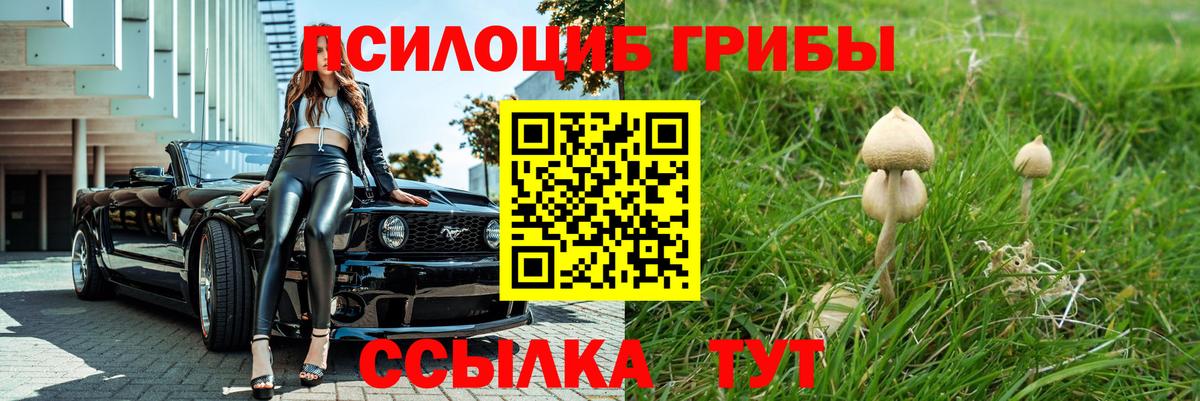 Карачаевск  Псилоцибиновые грибы мицелий  Вход с VPN 