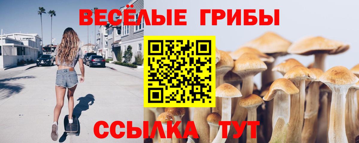 Галлюциногенные грибы MAGIC MUSHROOMS Карачаевск